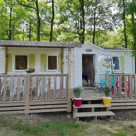 Mobilhome Proche Du Puy Du Fou 910Cb La Boissiere-de-Montaigu Ngoại thất bức ảnh